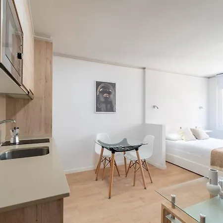 Apartamento Loft Plaza Espana
